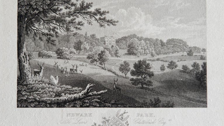 An historic etching of the deer park at Newark Park, Gloucestershire
